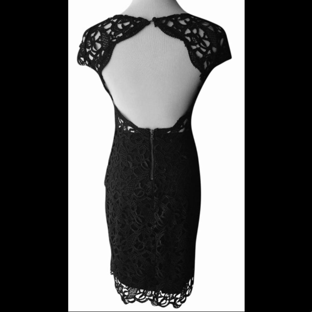 NEW AUTH Alice & Olivia Lace Open Back Dress